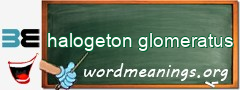 WordMeaning blackboard for halogeton glomeratus